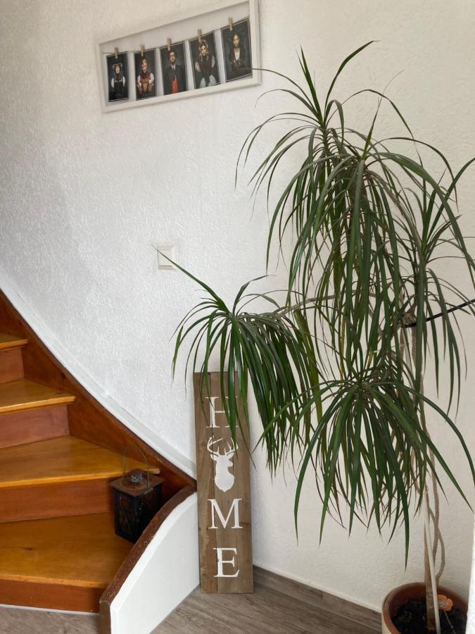Ferienwohnung Petra Rust Bagian luar foto
